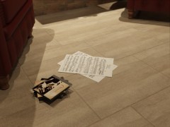 Serra Ceramic Pecan-Ginko