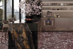 apavisa_noirvelvet_1