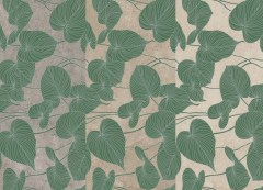 Boxer Madras Ninfea Grenoble