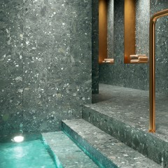 cercom_ceppodigres_7