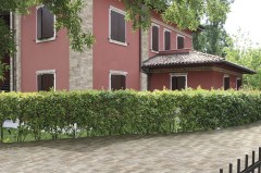 Cotto Petrus Muro Di Siena