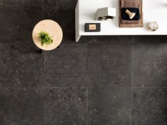 edimaxastor_belgica_1