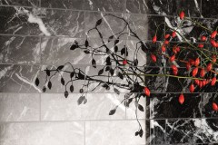 fioranese_prestige_3