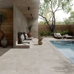 Gardenia Orchidea Pietra Viva