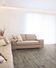 Valore Sequoia-Ardennes