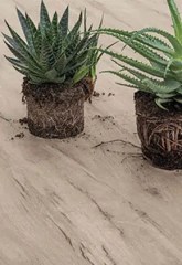 laminam_legnovenezia_2