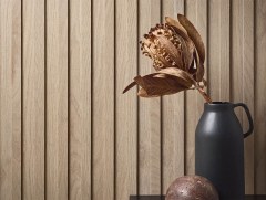 Ceramica Magica Selvis