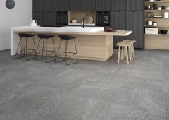 porcelanicoshdc_fossil_1