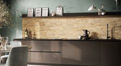 rondine_infusion3d_1