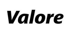 valore_logo_240x24031