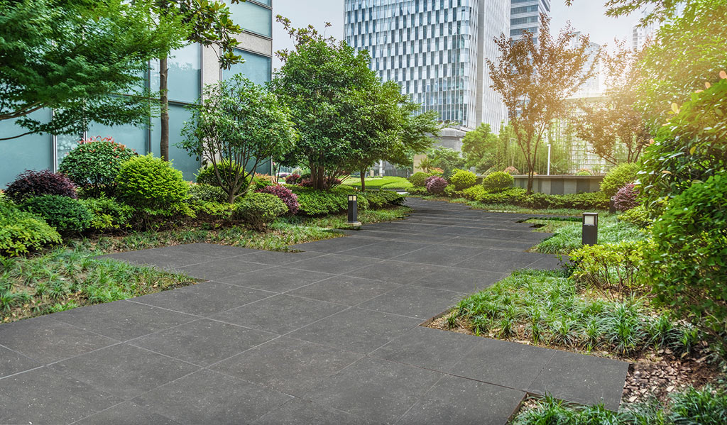 Gambini Blue Label Steel padlólap