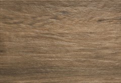 Arte falicsempe Arte Amazonia braz falicsempe