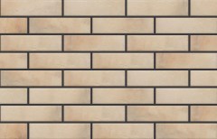 Cerrad falburkolat Cerrad Retro Brick Salt falburkolat 6,5 x 24,5 cm