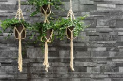 Delconca HCL Climb Falburkolat 