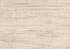 Domino Pinia bez falicsempe 36 x 25