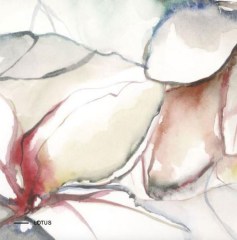 Kerlite Wonderwall Lotus dekorcsempe 300x100 cm