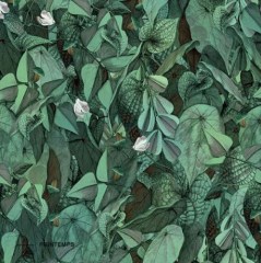 Kerlite Wonderwall Printemps dekorcsempe 50x100 cm