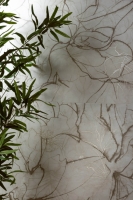 La Fenice Touch Falburkolat 