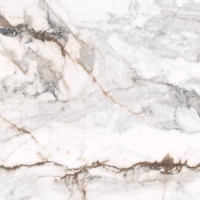 Ceramica Limone Sofia Gold Poler falicsempe és padlólap 90x90 cm