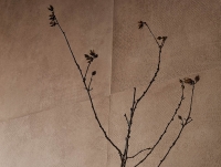 Ceramica Magica Crudatech Falburkolat 