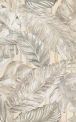 Kwadro Nea lisc B falicsempe