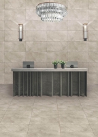 60x60 C Vilnius matt járólap