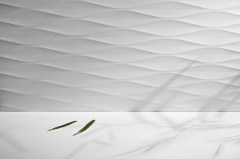 Peronda Cotton Falburkolat 