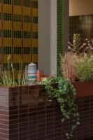 Quintessenza Amarcord Falburkolat 