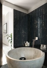 Rex I Classici di Rex Falburkolat 