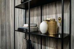 Rex Étoile de Rex Falburkolat 